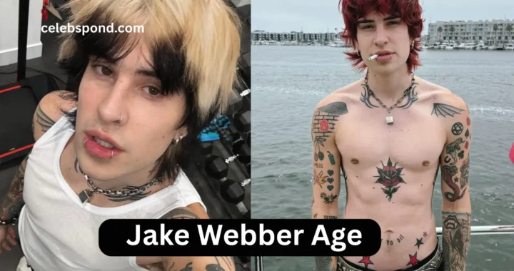 Jake Webber Age, Career, Family, Net Worth, Height, Bio 2025