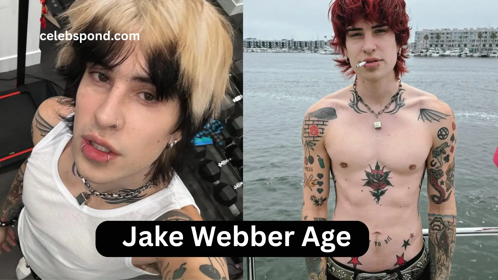 Jake Webber Age
