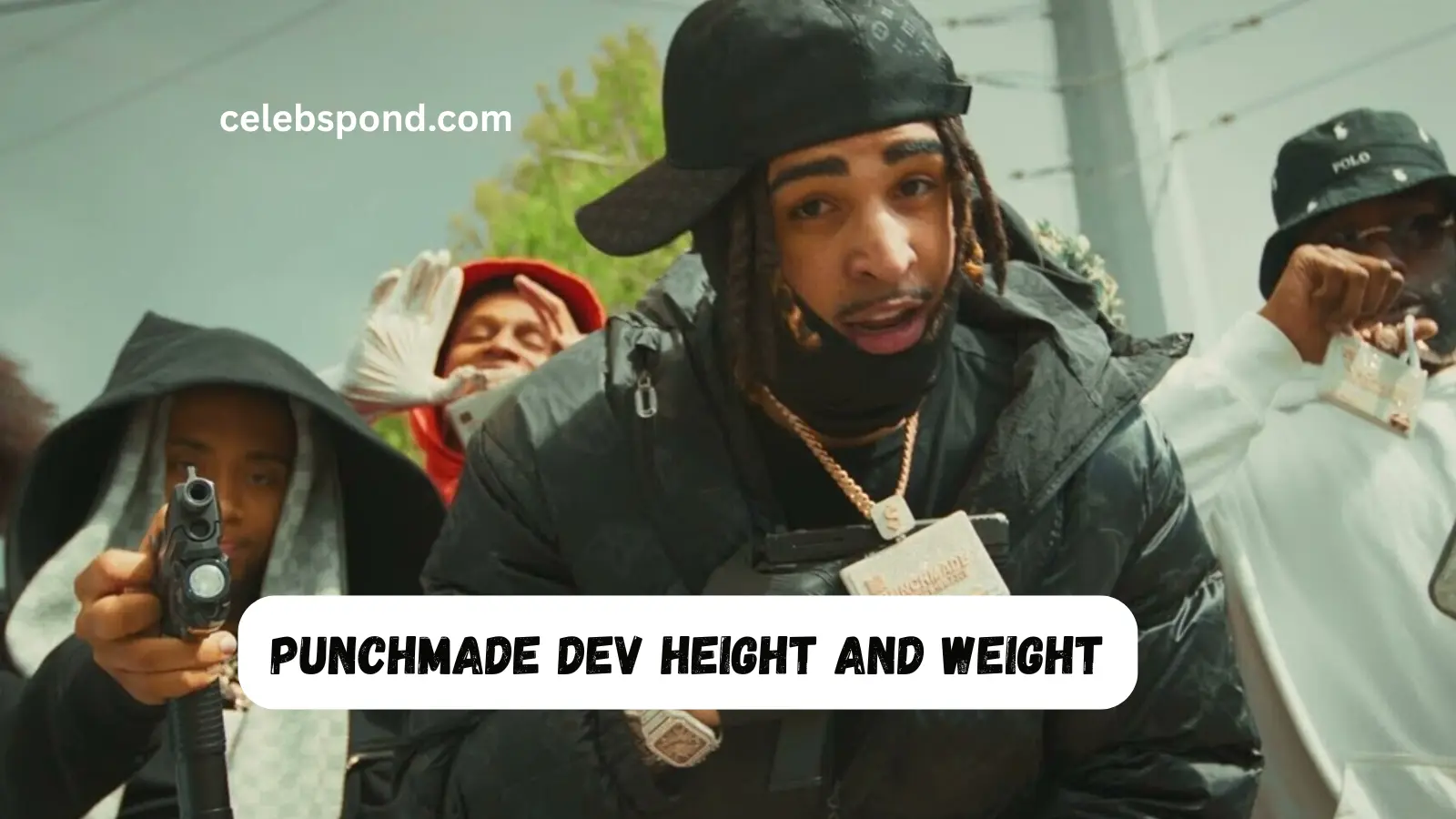 punchmade-dev-height-and-weight