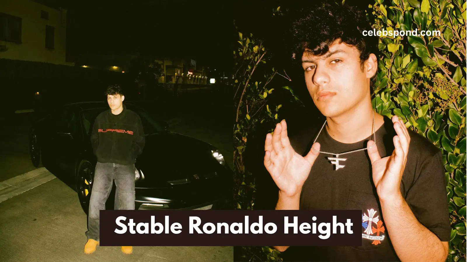 stable-ronaldo-height